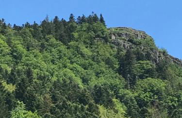 Gîte de la Mésange - Foto 42