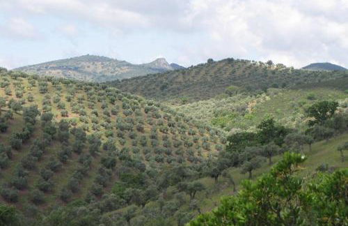 Cortijo "Era Grande 1" - Foto 40