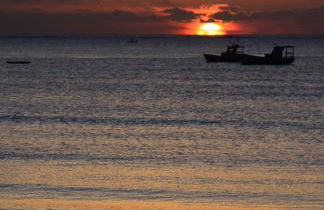 Proa Japaratinga - Foto 14