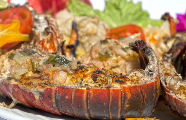 Village Bungalows Chez Honore - Photo 73