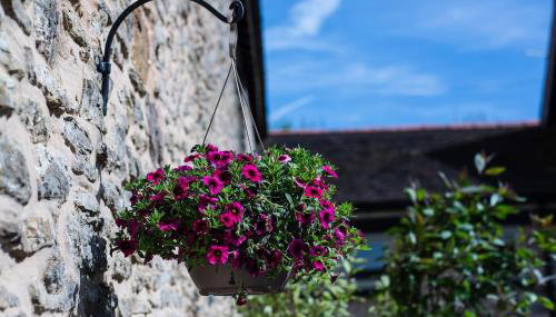 Acorn Cottage - Foto 4, Garden