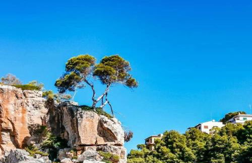 with sea view Comfortable holiday residence - Foto 37