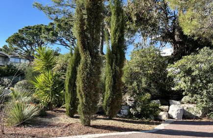 Studio Riviera de Bahia - Foto 24