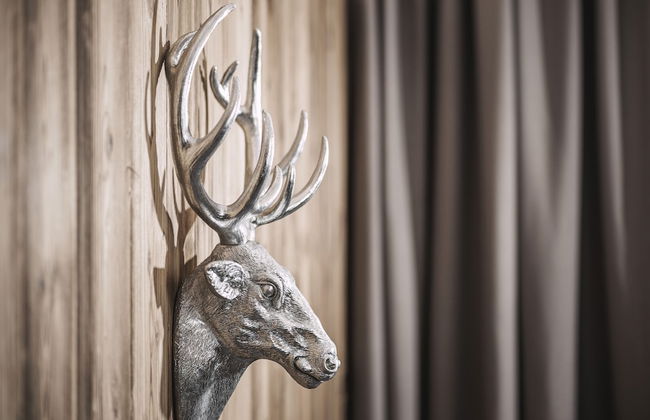 Platzhirsch Apart & Mayrhofen - Foto 26