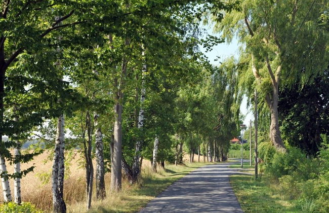 Holiday Home Crane Coast - Foto 15