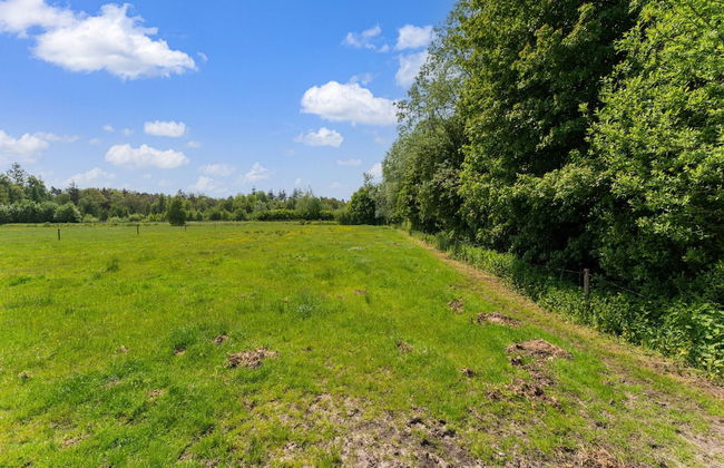 Cottage in Dwingelderveld With Scenic Views - Foto 37