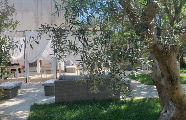 Tenuta Sidore - Photo 57