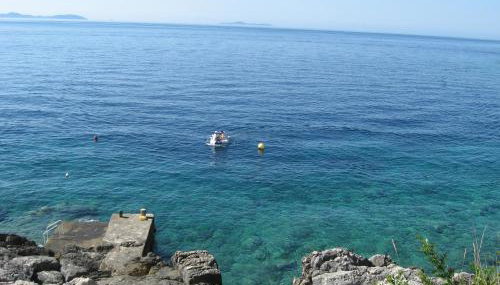 Apartments Bisko - Foto 4