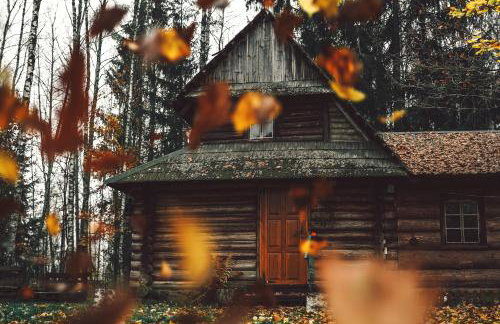 Chatka w lesie - Foto 28