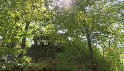 Burgberg Schöllnstein - Foto 2