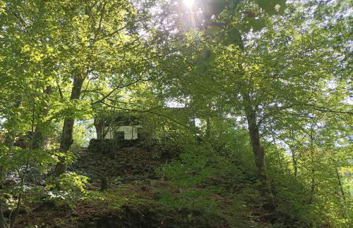 Burgberg Schöllnstein - Foto 2