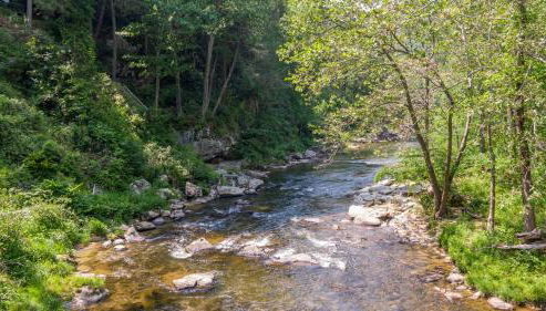 A River Mist - Foto 3