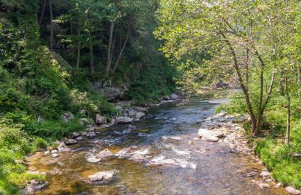 A River Mist - Foto 3