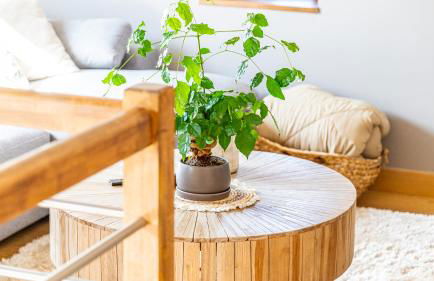 L'Écrin d'Ernest - Maison avec Charme- Extérieur - Foto 12