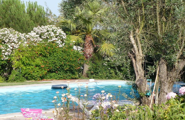 Quinta Retreat With Pool and Olive Grove - Foto 41