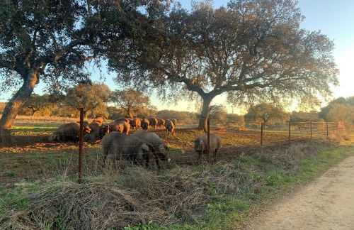 CASA RURAL LOS ALTOS - Foto 58