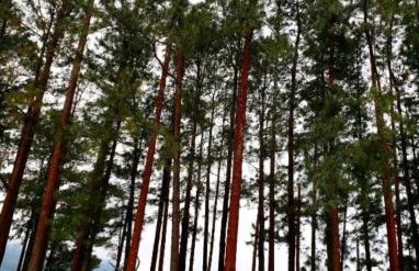 Loft Melhor do Sahy - Magaratiba RJ - Foto 36