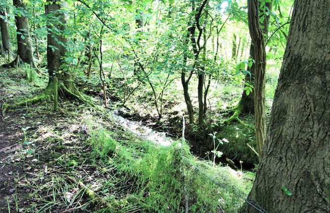 3 Bedroom 2 Bathroom Cottage Norham Berwick-upon-tweed -log Fire - Dog Friendly - Foto 17