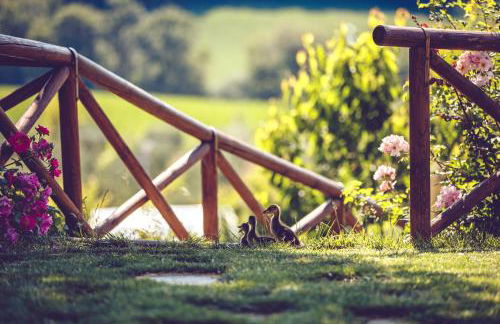 Agriturismo Casal San Sergio - Photo 69