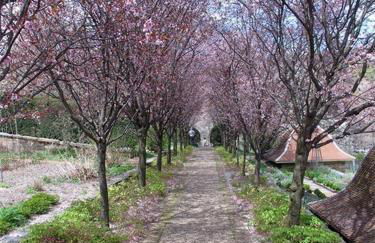 WELL-EQUIPPED STUDIO APT - WALK TO METRO SUBWAY - Foto 16