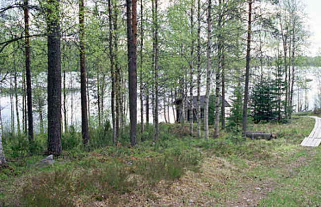 Mustikkainen - Foto 3