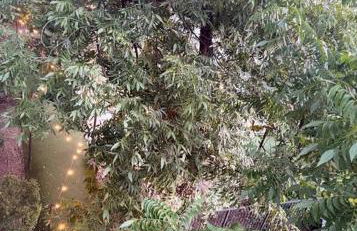 Beautiful Condo on Riverwalk King Suite w Free Parking Pet Friendly Centrally Located on the Riverwalk - Foto 42