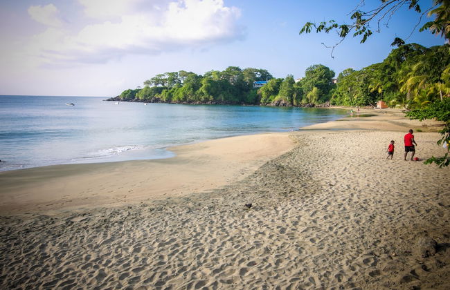 Robbie's Place Tobago - Foto 36