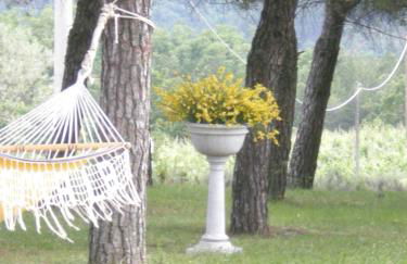 Agriturismo I Muri - Foto 23