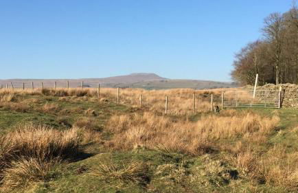 Ingledale Apartment, Ingleton, Yorkshire Dales National Park, Famous Three Peaks, Near The Lake District, Pets Are Welcome - Foto 53