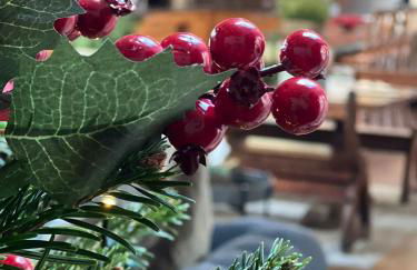 Plover House - Photo 50