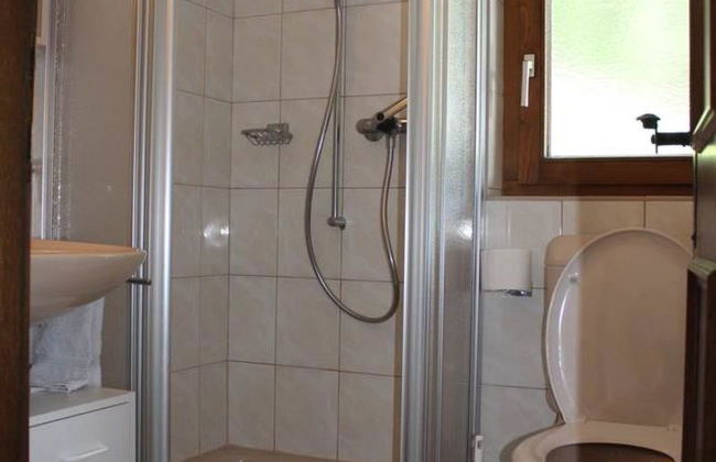 Silberdistel - Foto 10