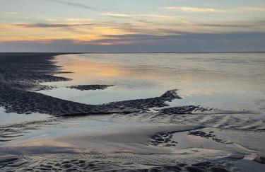 VENT DE FOLIE - Foto 16