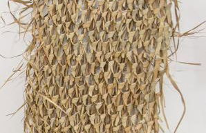 Milenial Immo SIM 3 - Acogedor estudio con piscina a 300m de la playa de Roses - Foto 9