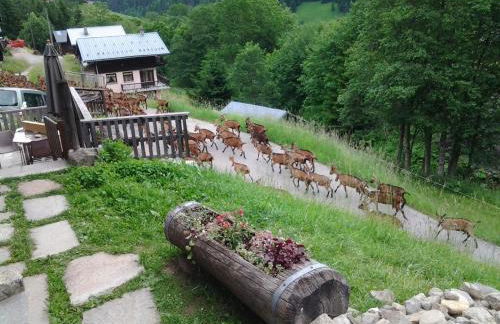 Le Refuge des Marmottes - Foto 13