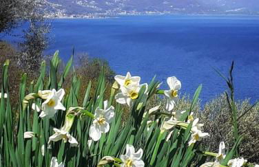 Balcony on Lake Pianello - Foto 51