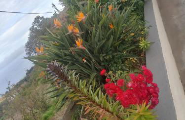 Mara Jos rural house - Foto 17