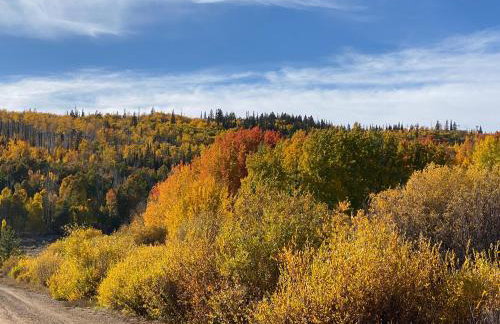 Whistle Pig Retreat at 22 West Cabins and Recreation - Foto 51