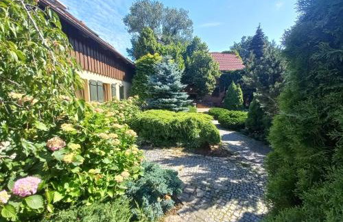 Avalon Połchowo - Foto 27