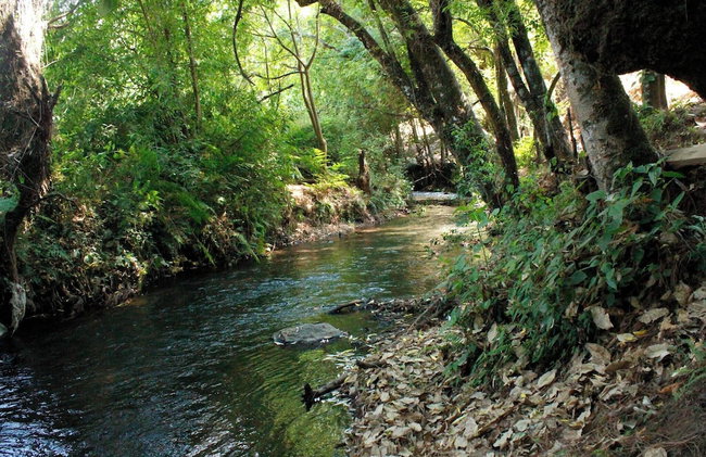 Country House In The Woods With River - Foto 18