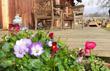 Liljas Haus im Spreewald - Foto 41