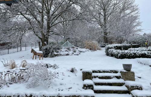 Ferienhof"WaldEsel Rippersroda" - Foto 34