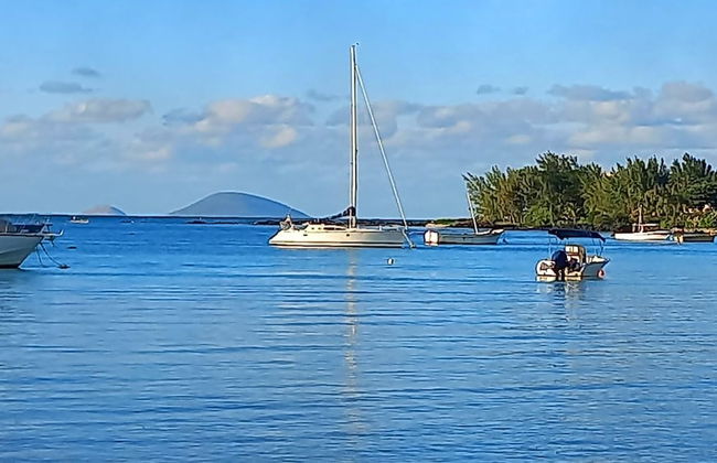 AMIS Apartments - Photo 25