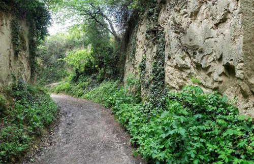 Winzerhof Henkenberg - Foto 13