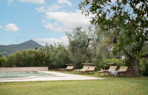 Agriturismo Tra gli Ulivi, Chiappini Winery - Photo 27
