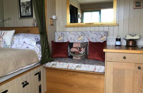 Private Shepherds hut with Castle view - Foto 15