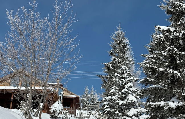 Ny Çambaşı - Foto 43