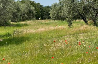 la casa del calicanto - Foto 41