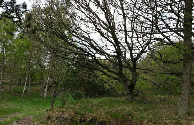 6 Person Holiday Home in Ebeltoft - Foto 15