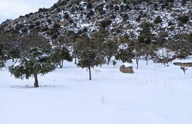 La Consentida - Foto 3