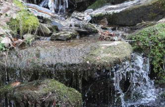 Ferienwohnung auf Alzen - Foto 24